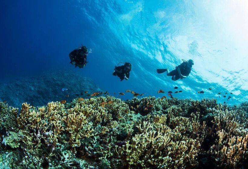 호텔 Kokomo Private Island Fiji