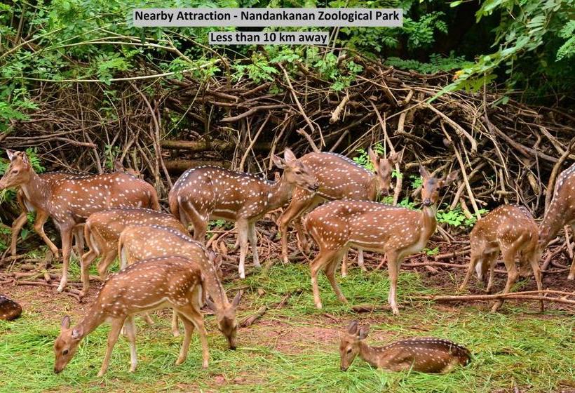 酒店 Oyo 9564 Near Kiit University