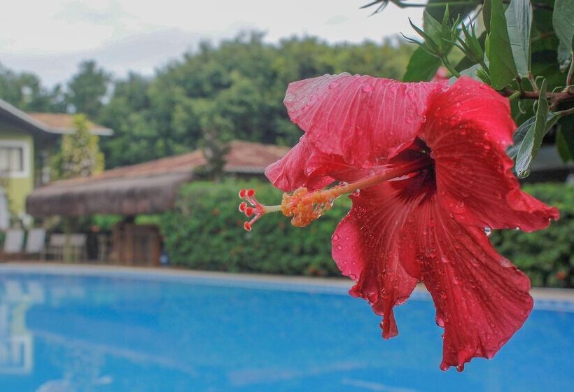 ホテル Recanto Da Mata Pipa