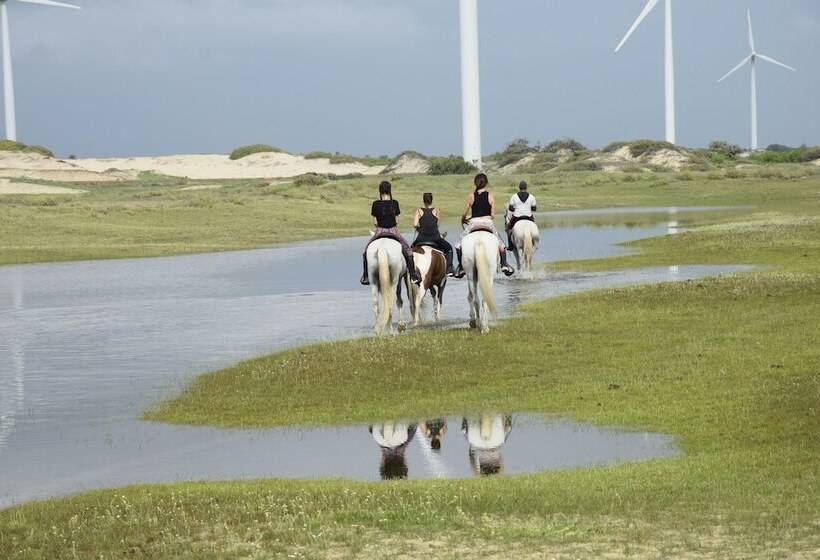 호텔 Refugios Parajuru