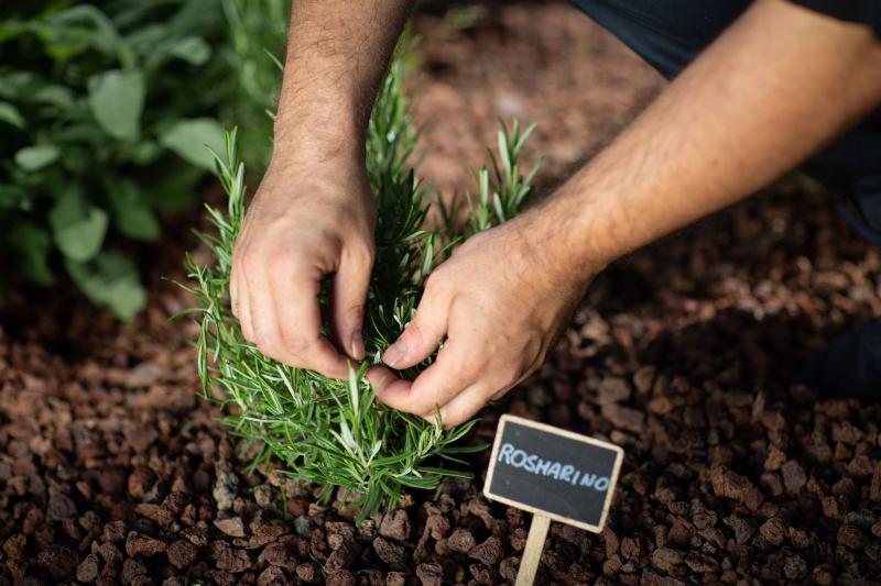 Отель Resort Limax Acis