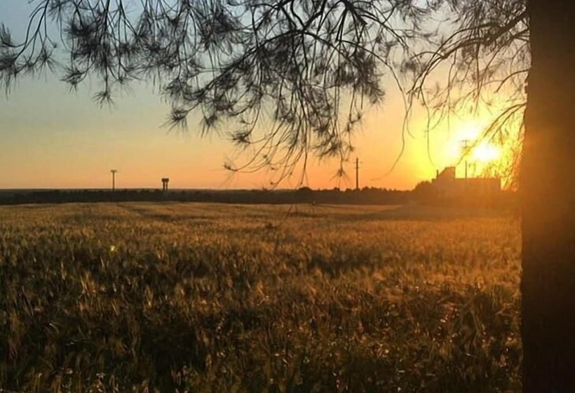 乡村酒店 Masseria Fabrizio