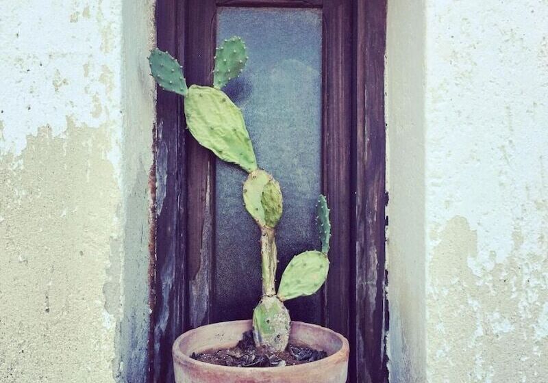 乡村酒店 Masseria Fabrizio