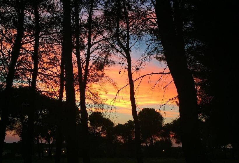 乡村酒店 Masseria Fabrizio