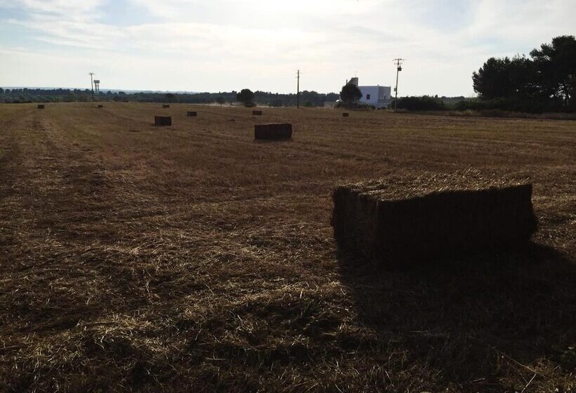 乡村酒店 Masseria Fabrizio