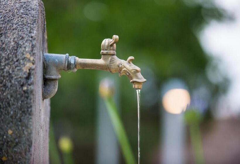 乡村酒店  Tenuta Duca Marigliano Boutique