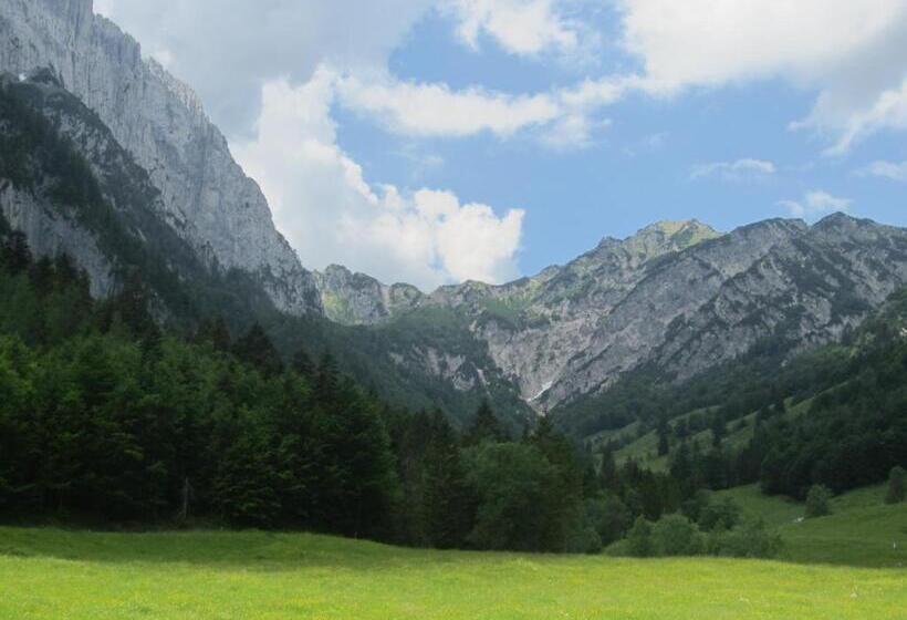 Отель Sonnhof Reit Im Winkl