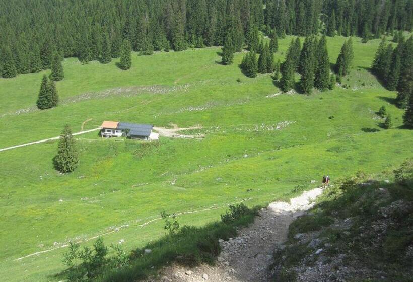 Отель Sonnhof Reit Im Winkl