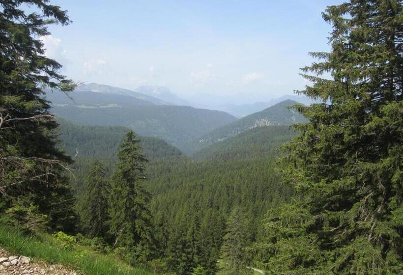 Отель Sonnhof Reit Im Winkl