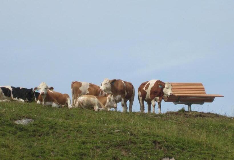 Отель Sonnhof Reit Im Winkl