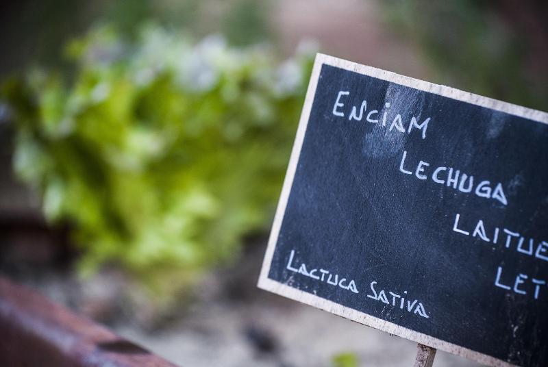 ホテル Suites Natura Mas Tapiolas