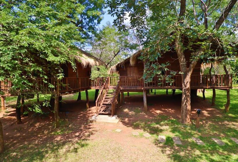 Отель The Other Corner