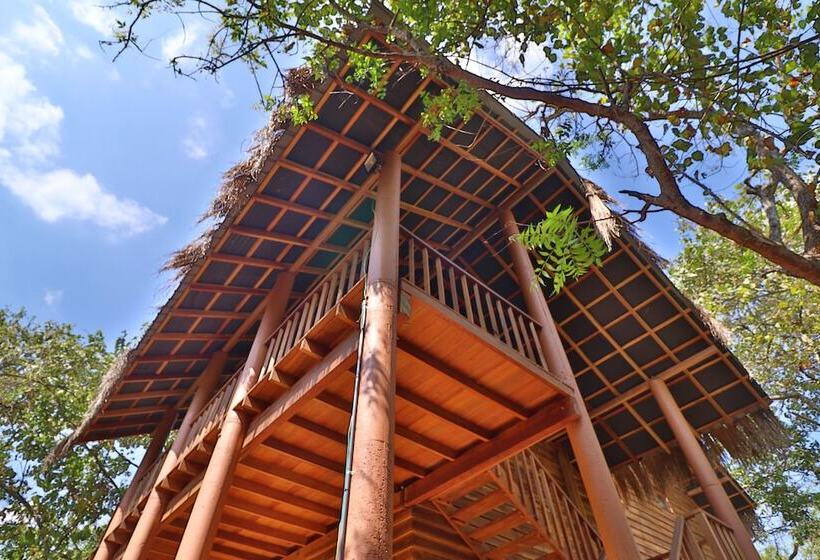 Отель The Other Corner