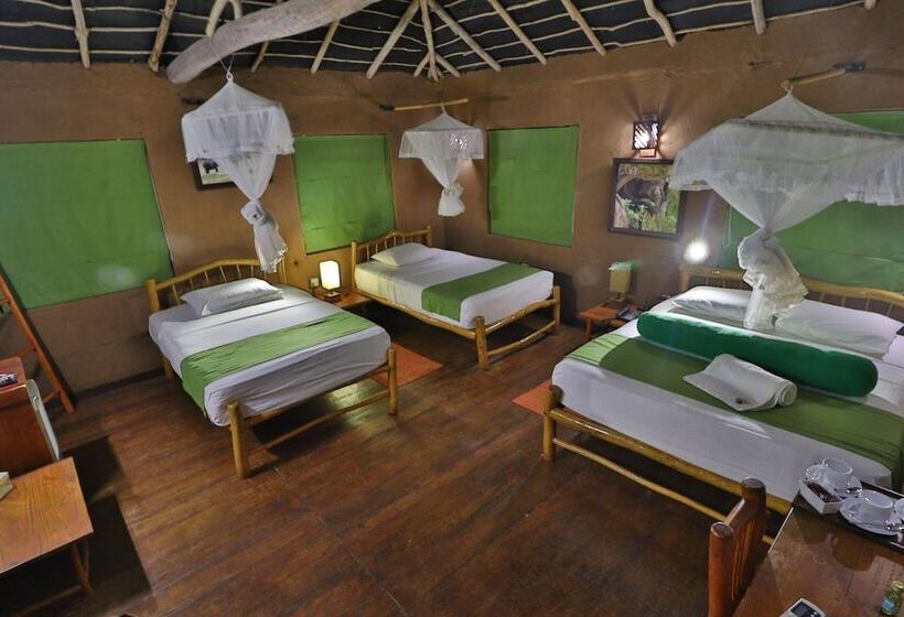 Отель The Other Corner