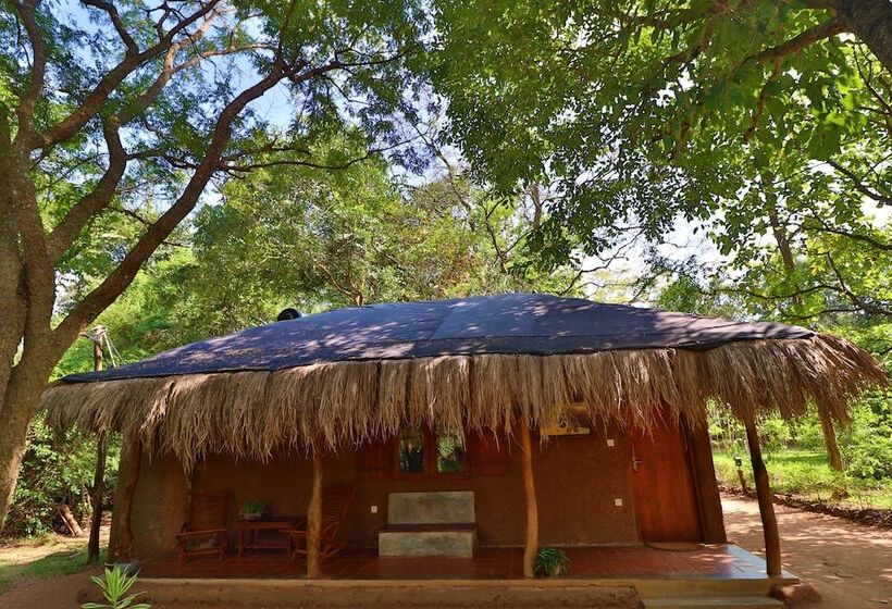 Отель The Other Corner