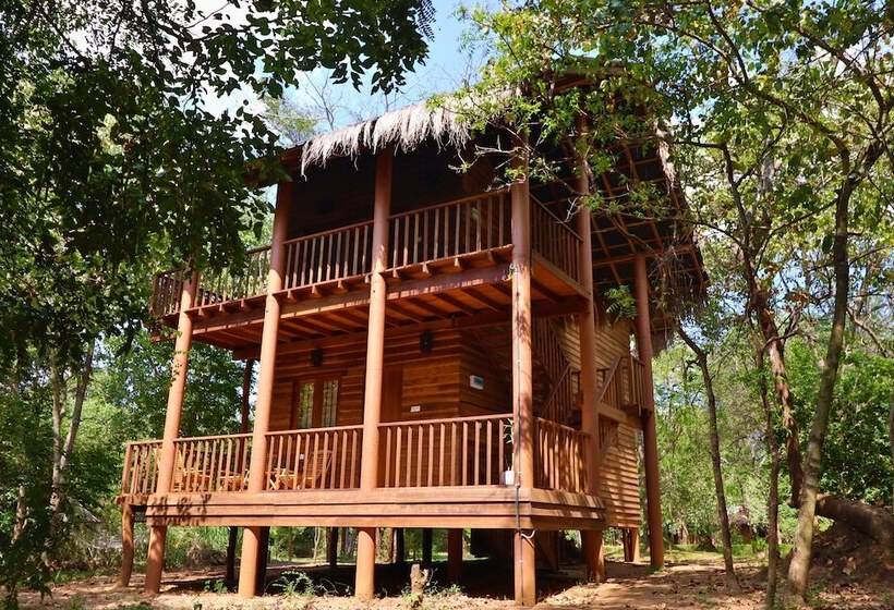 Отель The Other Corner