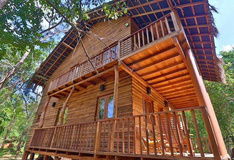 Отель The Other Corner