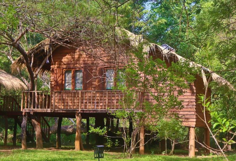 בית מלון כפרי The Other Corner