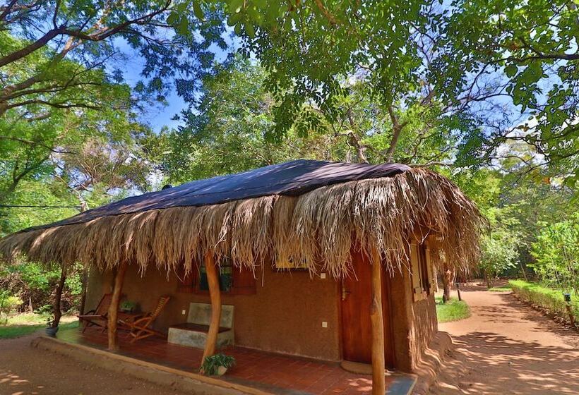 Отель The Other Corner