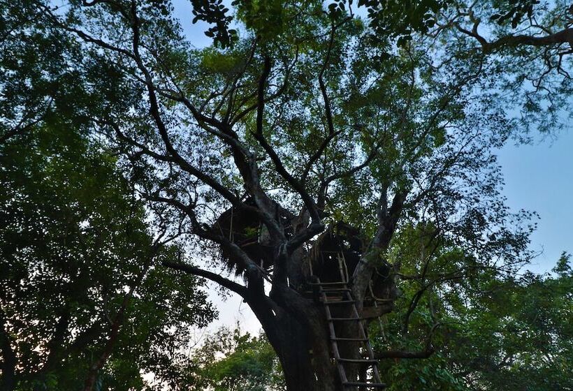 Отель The Other Corner