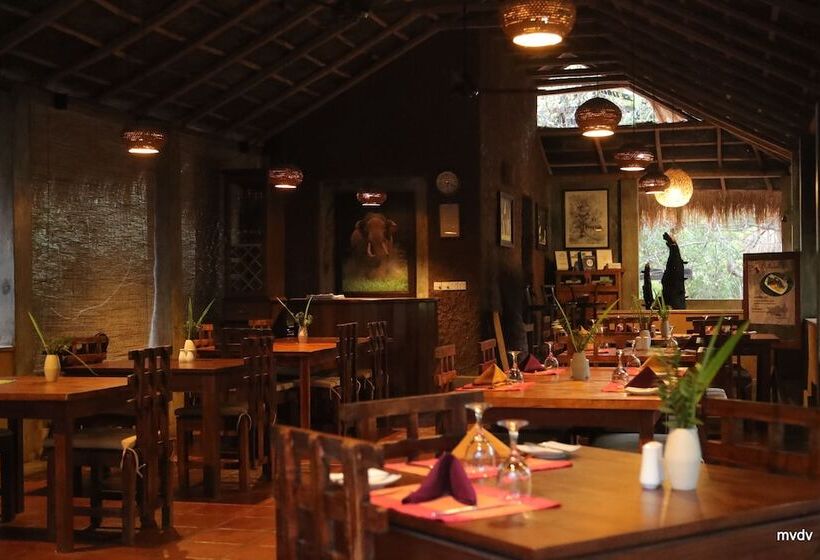 Отель The Other Corner