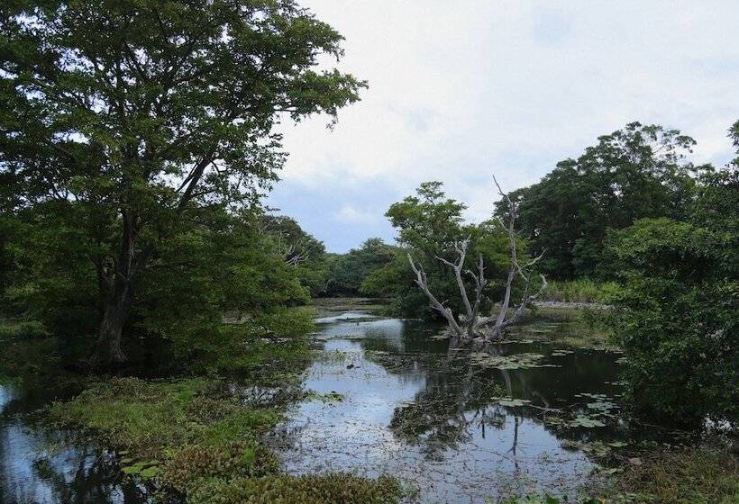 Отель The Other Corner