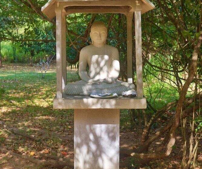 Отель The Other Corner