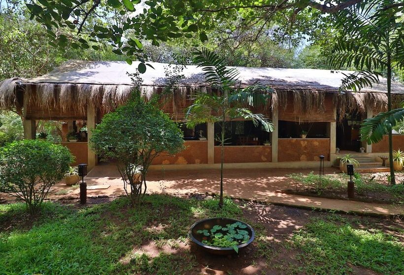 Отель The Other Corner