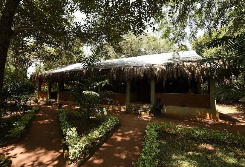 Отель The Other Corner