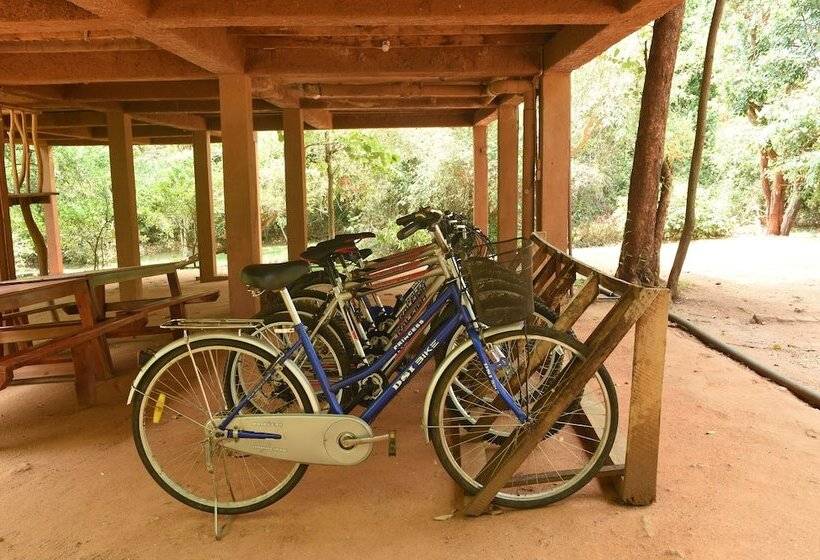 Отель The Other Corner