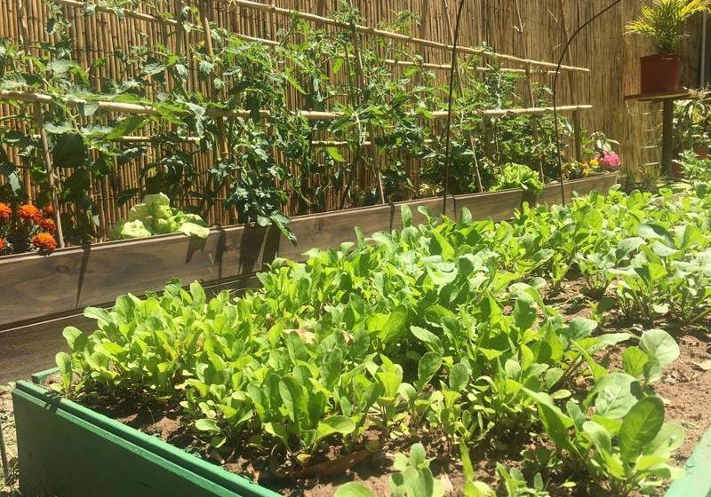 酒店 The Trip House