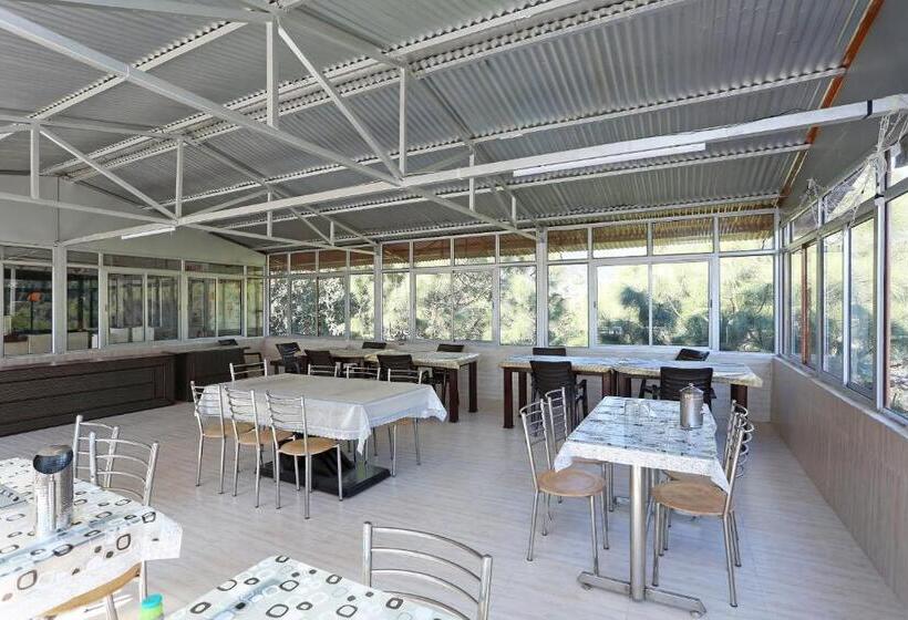 فندق Treebo Olive Lake View Inn June Estate Bhimtal