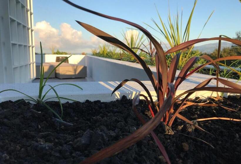 Отель Vinhas Do Calhau