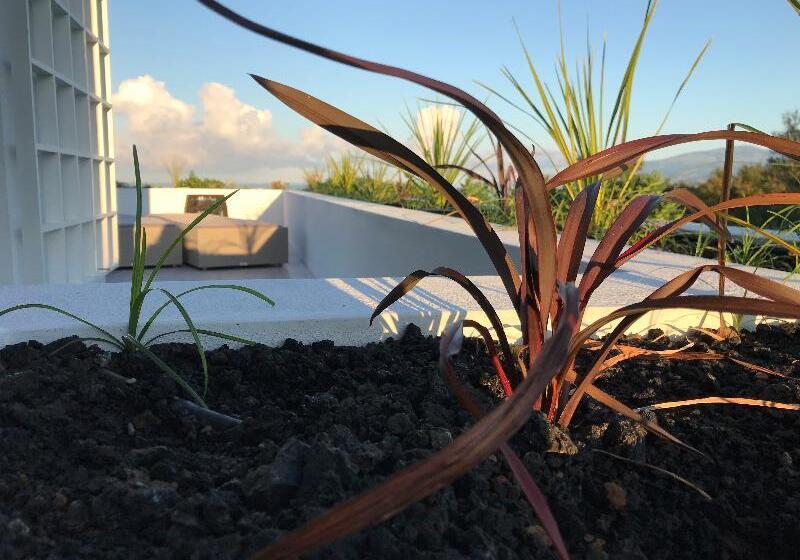 Отель Vinhas Do Calhau