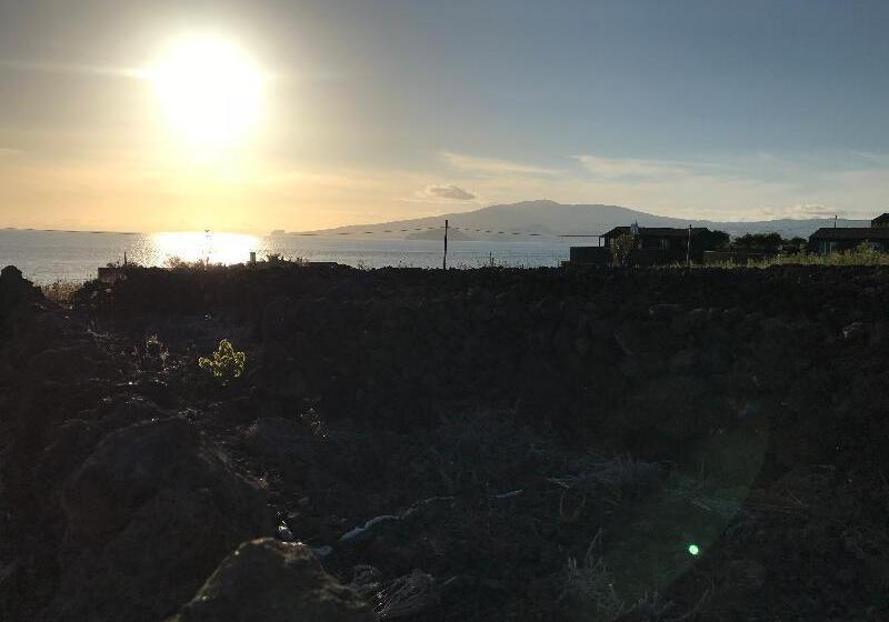 Отель Vinhas Do Calhau