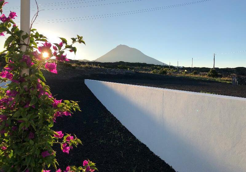 Отель Vinhas Do Calhau