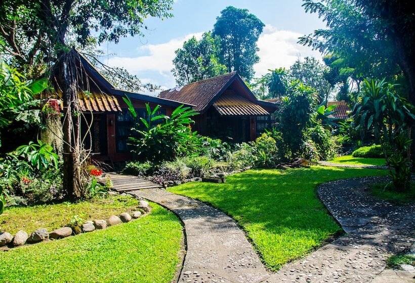 호텔 Yoga Art Home