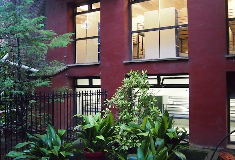 Plaza Catedral Hostel