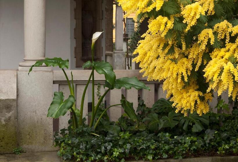 Y Apartamentos Arias