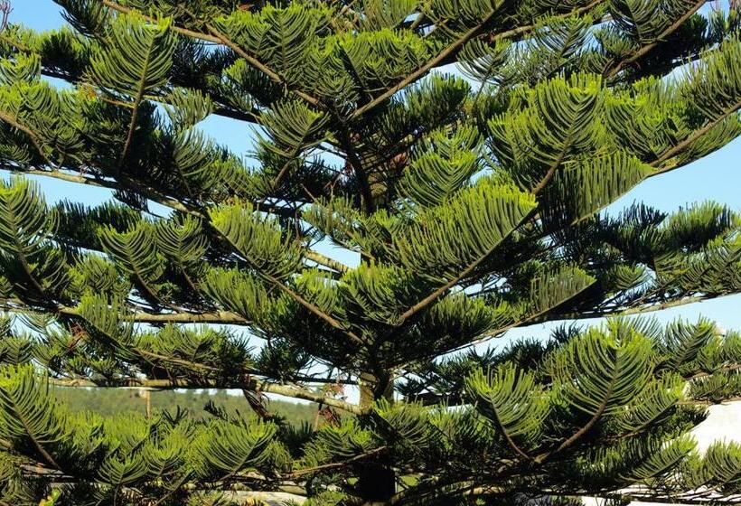 Y Apartamentos Arias