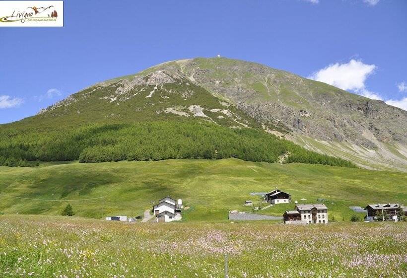 Appartamenti Green Esclusivo Riservato Soleggiato