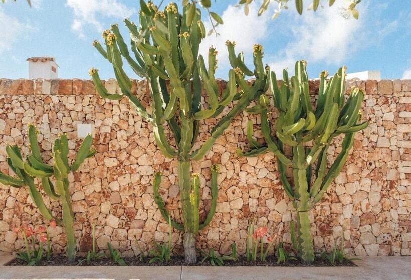 צימר Agroturismo Ses Talaies