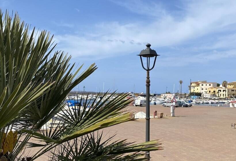 צימר Concas Apartament