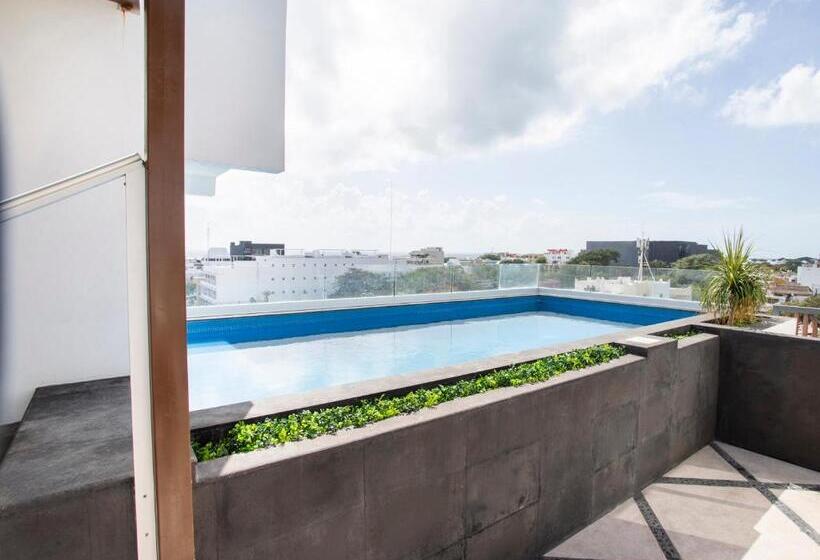 Attraction Hotel Deluxe