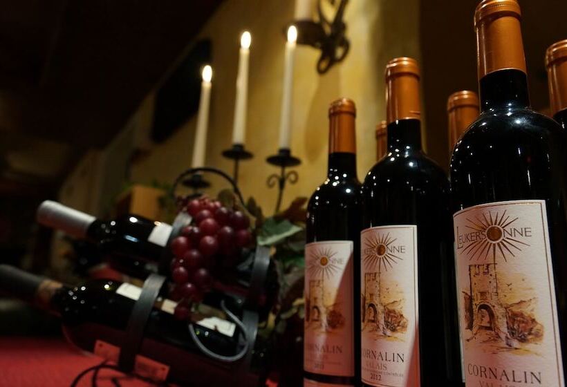 簡易ホテル Europa Annex