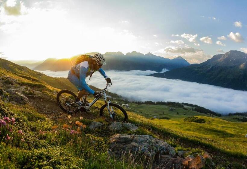 客栈  Petit Steffani Bed & Breakfast