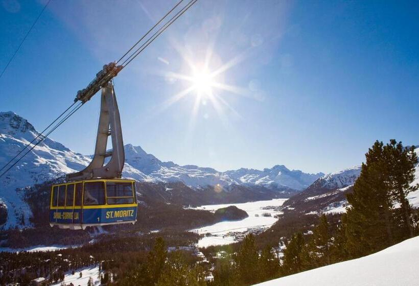 客栈  Petit Steffani Bed & Breakfast