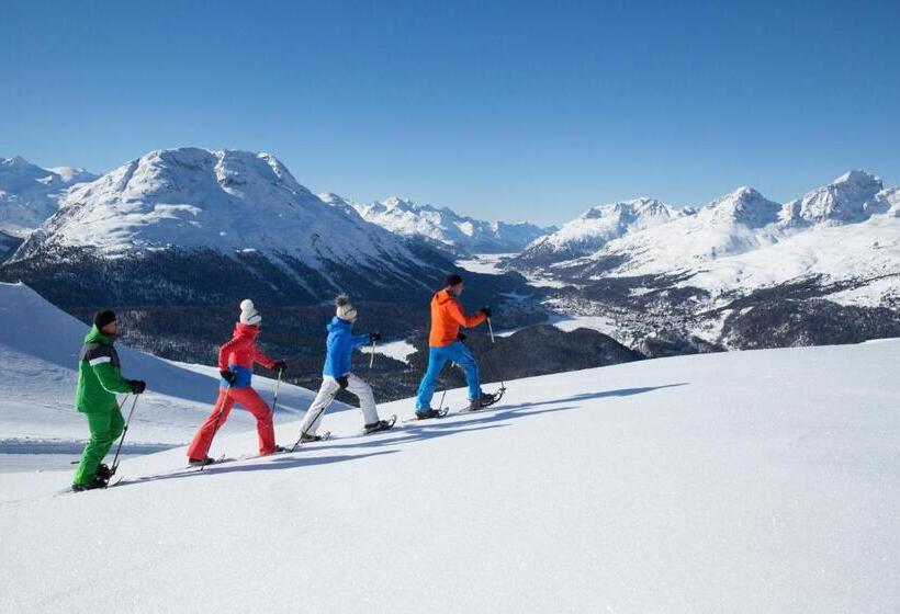 簡易ホテル Petit Steffani Bed & Breakfast