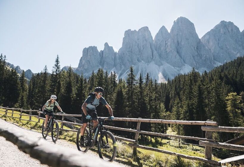 Отель Astor Apartments