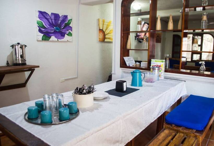 Nativ Tulum Hotel Boutique